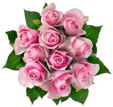 Gallery Recent Updates Pink Rose Bouquet Rose Bouquet Flowers Bouquet