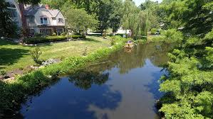 Increase in odor and algae: Superior Pond Dredging Equipment Geoform International