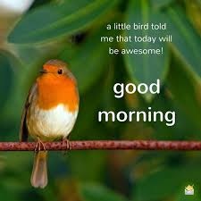 Birds Chirping In The Morning Islam 16 Good Morning Images To Make You Smile Latest Good Morning Latest Good Morning Images Good Morning Quotes