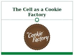 There are also larger chart, write the name of the organelle that functions most like the factory worker described in the first. Cell Factory Worksheets Teaching Resources Teachers Pay Teachers