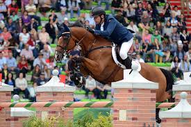 Maybe you would like to learn more about one of these? Hest No Norges Storste Hesteportal