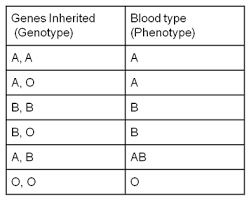 blood type genetics study com