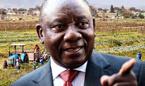 South africa's former president is warned to appear in court. South Africa Farm Seizures Could Become Next Zimbabwe Warns Expert World News Express Co Uk