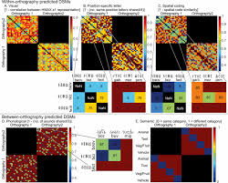 The use of letter frequencies and frequency analysis plays a fundamental role in cryptograms and several word puzzle games, including hangman the frequency of letters in text has been studied for use in cryptanalysis, and frequency analysis in particular, dating back to the iraqi mathematician. Mapping Visual Symbols Onto Spoken Language Along The Ventral Visual Stream Pnas