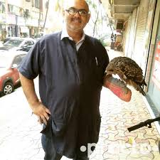 At bubbles pet salon and spa! Pet Grooming In Malad West Mumbai View Cost Book Appointment Online Practo