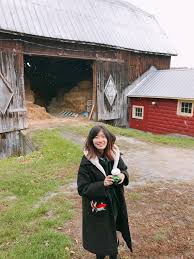 REVIEW] Sōseki: Modern Japan's Greatest Novelist