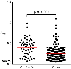 Correlation Of Pathogenic Factors With Antimicrobial Resistance Of Clinical Proteus Mirabilis Strains Biorxiv