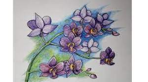 Lihat ide lainnya tentang lukisan bunga, lukisan, bunga. How To Draw Orchid Color Pencil Youtube