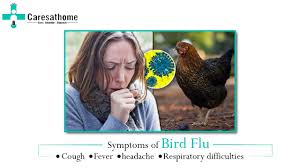 Signs and symptoms of bird flu may begin within two to seven days of infection, depending on the type. Bird Flu 8211 A Complete Guide Cares At Home