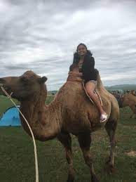 There are two species of bactrian camel: The Bactrian Camel Reach The World