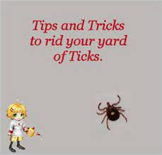 The powder may be dusted on some surfaces in your yard or you may opt for the spray version. How To Get Rid Of Ticks In The Yard Steps To A Tick Free Garden Get Rid Of Ticks Ticks Yard