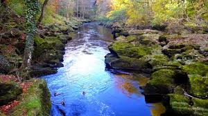 The bolton strid, a narrow segment of the river wharf in north england, is a picturesque stretch of river that looks like the type of place one might find fairies frolicking in the heath. Bolton Strid Beautiful River Can Human Swallow Daily Unique