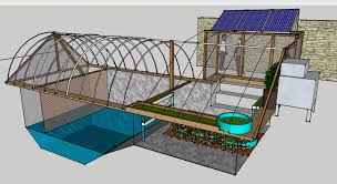 Garden Pool Facts Underground Greenhouse Backyard Aquaponics Aquaponics Diy