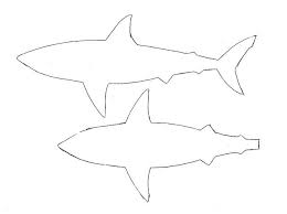 Photo Gallery Of Shark Drawing Template Shark Drawing Animal Drawings Drawings
