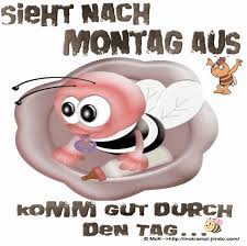 Https Encrypted Tbn0 Gstatic Com Images Q Tbn 3aand9gcq8rgifo3gqhdnady9t4vt St0jkka1 Fedag Usqp Cau
