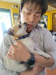 Edit: we took him to LAS and he's chipped but there's no info