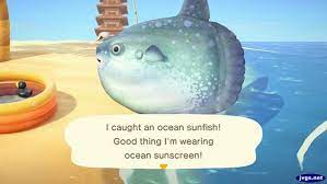 Ocean Sunfish 7th Ramp Jeff S New Horizons Blog Ocean Animal Crossing Bones Funny