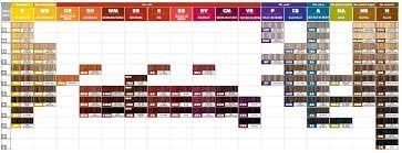 Schwarzkopf Hair Color Chart Pdf Salon Permanent Colour Code