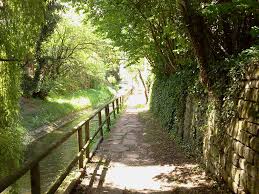 An Der Ammer In Tubingen Landschaft Fluss Bilder