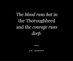 They are not only have the ability to recognize the people who love them and treat them well but also understand the words. This Is One Of Our Favourite Thoroughbred Quotes Horses Racing Thoroughbreds Racing Quotes Horse Racing Quotes Thoroughbred