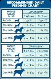 46 Particular Food Chart For Puppies