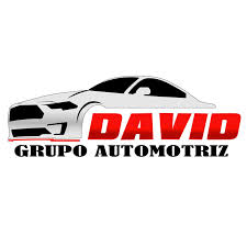 Servicio eléctrico automotriz David