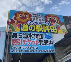美 ら 海 水族館 道 の 駅
