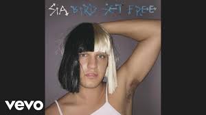 In 1997, when crisp disbanded, she released her debut studio album titled onlysee in australia, but it did not sell well. Sia Bird Set Free Audio Youtube