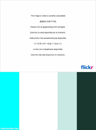 Petronas Logo Color Scheme Logo Color Schemes Logo Color