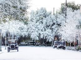 Snow In Savannah Today Or Maybe Just Disneystudios Creating A Winter Wonderland Scene For The Lady And T Lady And The Tramp Savannah Chat Winter Wonderland