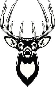 Black And White Deer Skull Black And White Illustration Of A White Tailed Deer Buck S Head Deer Head Silhouette Deer Drawing Deer Head