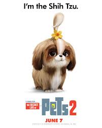 Posso guardare cats in cielo. Tiffany Haddish Is Daisy The Pets Return This Summer In The New Movie The Secret Life Of Pets 2 Coming To Theaters Jun Filmes Completos Filmes Baixar Filmes