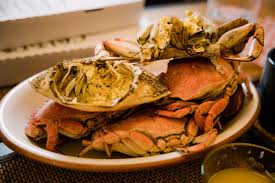 We did not find results for: Freezing Crab Cakes Detailed Guide From The Experts Beezzly