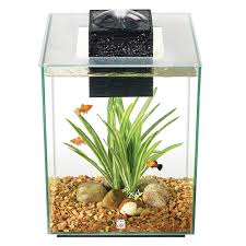 The best betta fish tank that we've found that we believe offers enough for everybody is the light is essential in any betta aquarium and this fluval spec v aquarium kit might provide that light like no. Fluval 5 Gallon Chi Aquarium Kit Fish Starter Kits Petsmart
