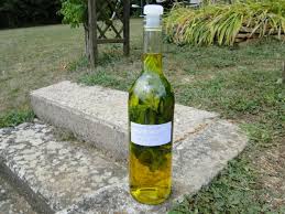 Huile D Olive Au Basilic Les Recettes De Mimi