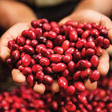 Green mountain decaf dark magic extra bold is my favorite. Green Mountain Coffee Roasters Vermont Country Blend Medium Roast Ground Coffee 12 Oz Walmart Com Walmart Com