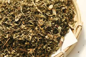 高血圧によい イチジク葉茶 健茶薬醍醐 平井店