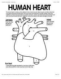 Anatomy heart coloring pages are a fun way for kids of all ages to develop creativity, focus, motor skills and color recognition. Human Heart Coloring 35 Images Pictures Human To Color Human Coloring Book Human Human Anatomy Coloring Pages