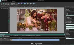 A free video editor without watermark is all you need if you want to create a video that will not leave a brand on the final copy. Is There A Free No Trial No Watermark Video Editor Don T Say Windows Movie Maker Quora