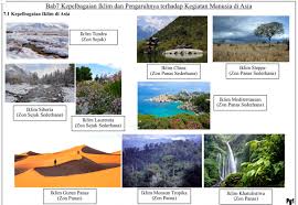 Pengaruh iklim tundra terhadap kegiatan manusia. Tutor Vod Online Learning Platform