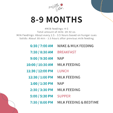 How to set up a feeding schedule for babies 6+ months old