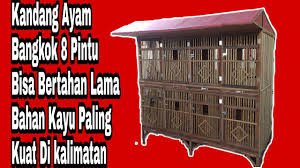 We did not find results for: Kandang Ayam Bangkok Kayu Ulin Awet Dan Tahan Lama Youtube
