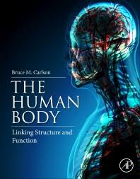 Discover all there is to know about human anatomy in dk's latest concise visual guide to the human body. The Human Body 1st Edition