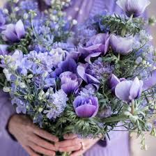 Phlox will sometimes rebloom if sheared back after the first flowers fade. Flower School Catherine Muller Home Facebook