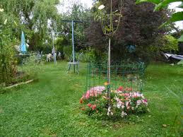 Mufliers Autour D Un Rosier Sur Tige Rosier Muflier Petit Jardin
