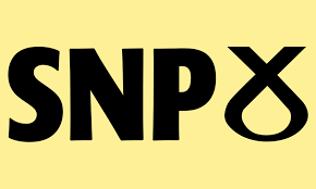 Scotland's largest political party and party of government. Election 2019 Snp Manifesto And Your Finances Which News