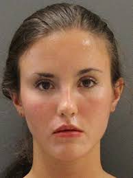 Police arrest 4 at forest rave near Prescott