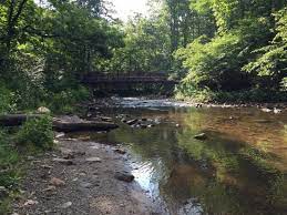 North Mills River Campground Reviews Nc Tripadvisor 34 partridge berry loop, mills river, nc 28759. north mills river campground reviews