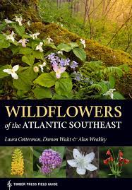 Real photos of bouquets here. Wildflowers Of The Atlantic Southeast A Timber Press Field Guide Cotterman Laura Waitt Damon Weakley Alan 9781604697605 Amazon Com Books