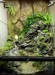 Pin By Stephanus Mardianto On Aquascape Frog Terrarium Reptile Terrarium Terrarium Tank